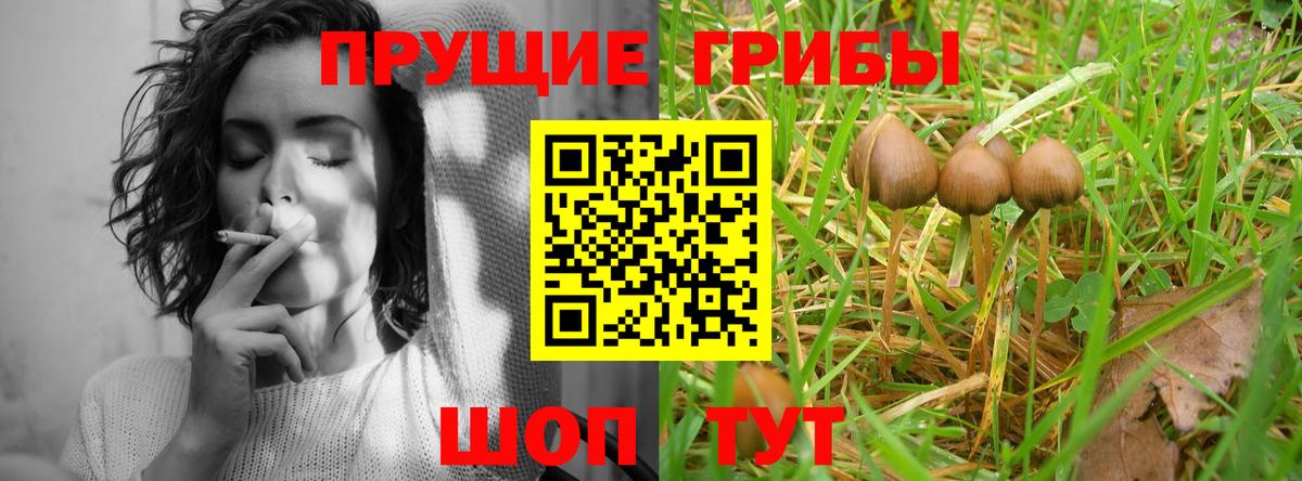 Псилоцибиновые грибы Psilocybe  Псилоцибиновые грибы ЛСД  Унеча  Вход с VPN 